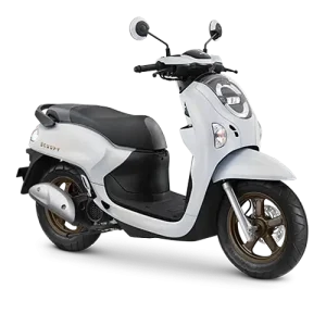 Honda Scoopy 110 cc
